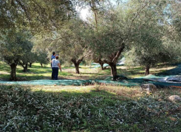 Από το Χθες στο Σήμερα: Η Ιστορία της Οικογένειας Θεοδωρόπουλου σε Κάθε Μπουκάλι